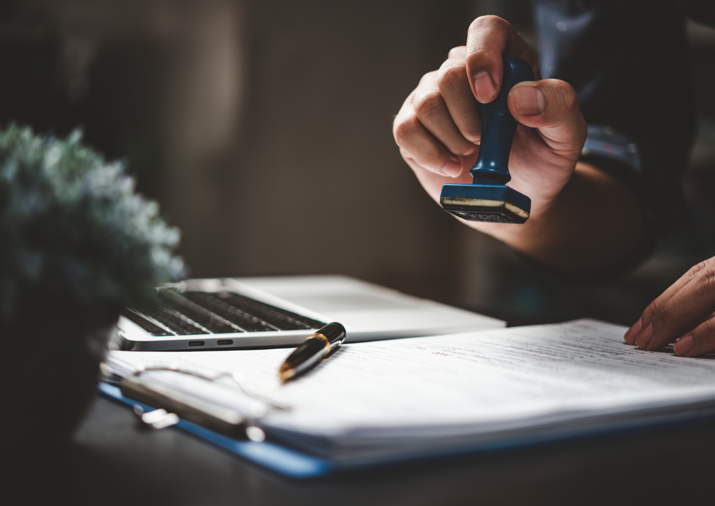 asesoría contable diz